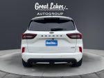 2023 Ford Escape Hybrid ST-Line Elite