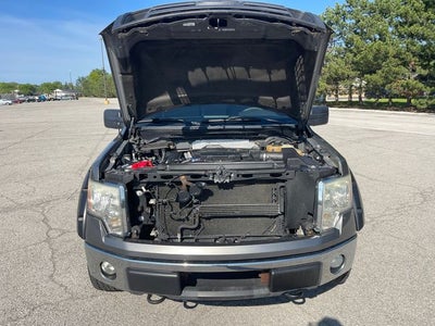 2011 Ford F-150 XLT