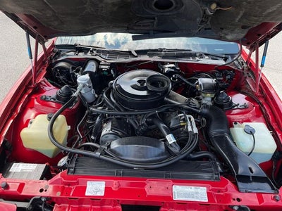 1984 Pontiac Firebird Trans Am