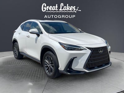 2024 Lexus NX 350h Premium