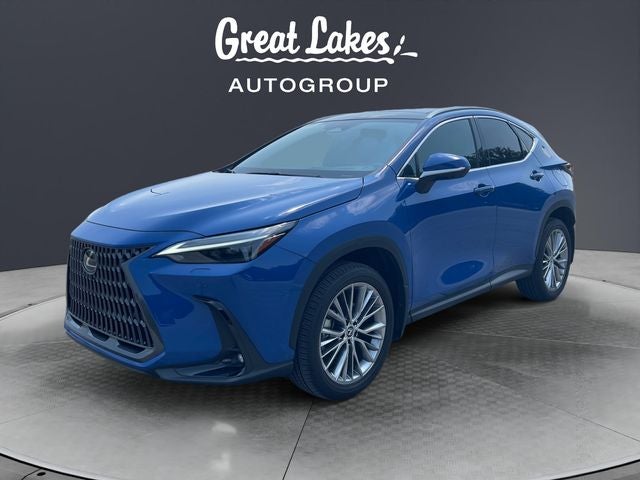 2024 Lexus NX 350 Luxury