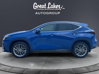 2024 Lexus NX 350 Luxury