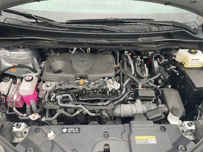 2025 Toyota Sienna LE 8 Passenger